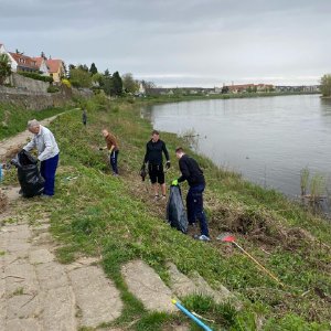 Arbeiter reinigen die Elbwiese