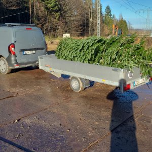 01_Weihnachtsabholung