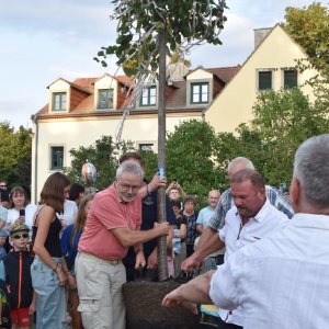 Dienstag13
