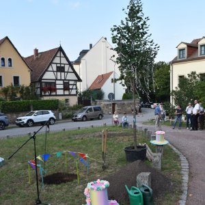Dienstag8