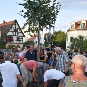Dienstag15